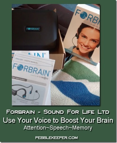 Forbrain
