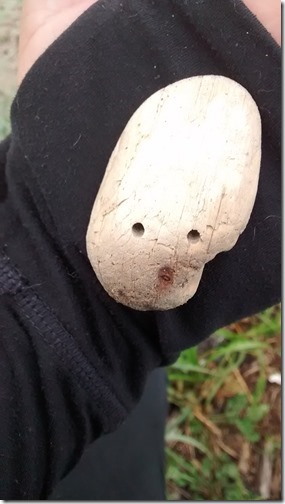 IMG_20160529_084425105