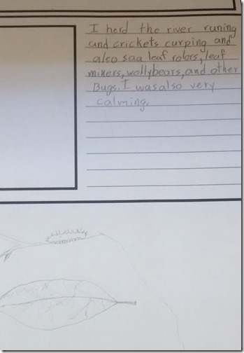 IMG_20160909_153356069