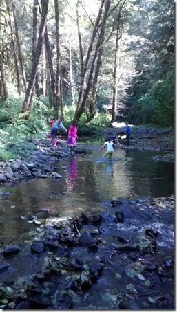 IMG_20160915_135340546